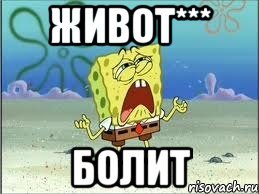 Живот не болит Мем