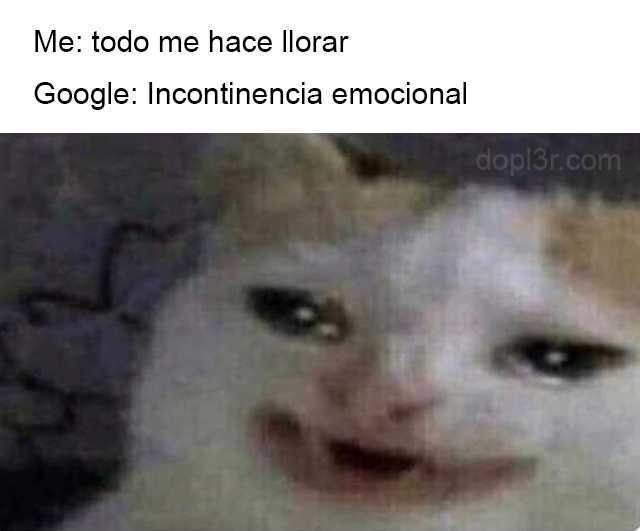 Мем с плачущим котом