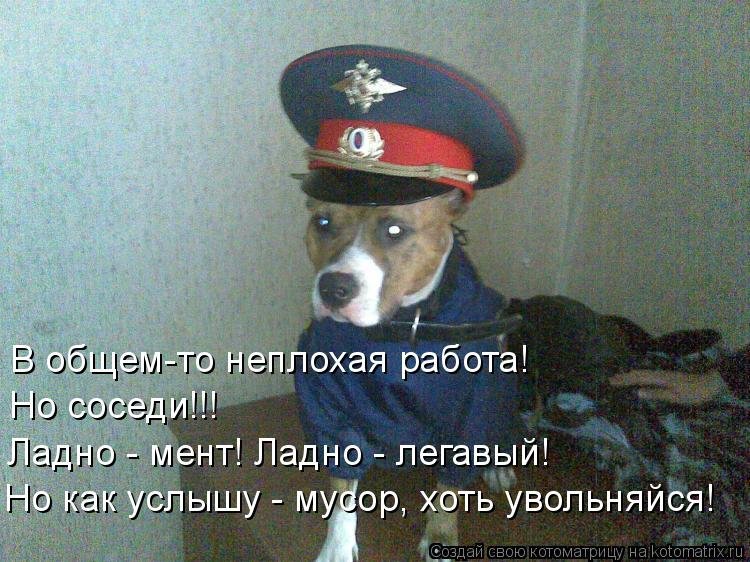 Собачка в полицейской форме