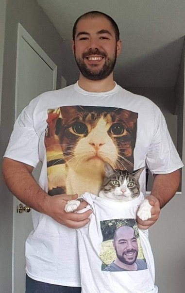 Никаких котов в доме