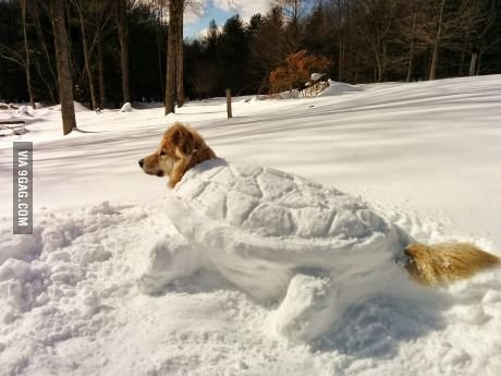 Зимние приколы