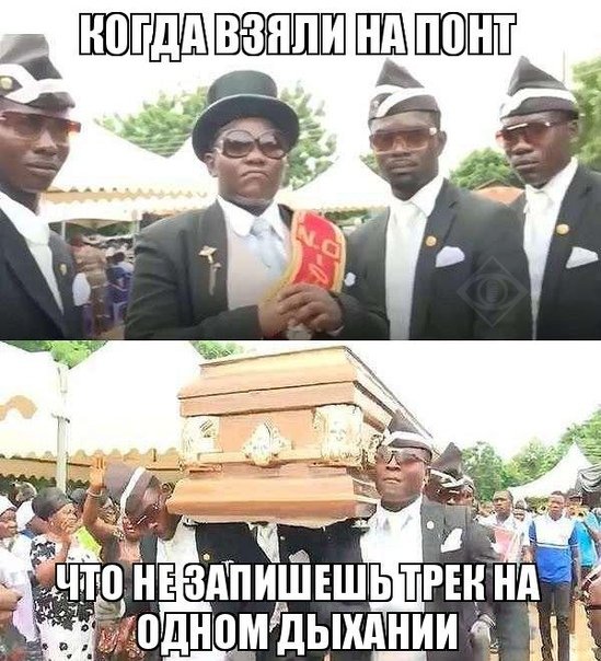 Негры несут гроб