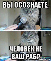 Мемы с микрофоном