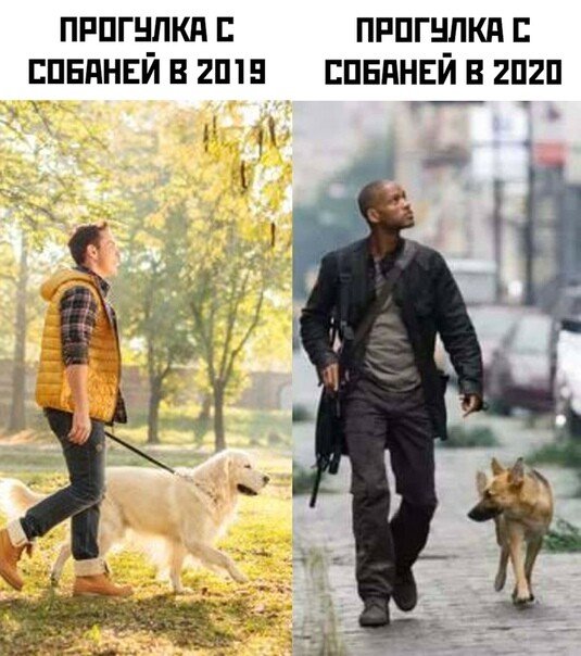 Собака Мем