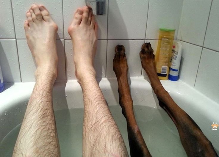 Ванна для ног