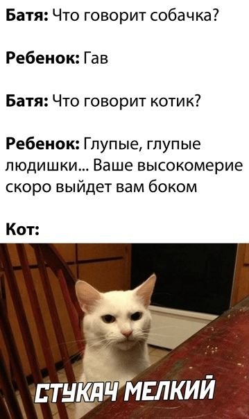 Глупые людишки