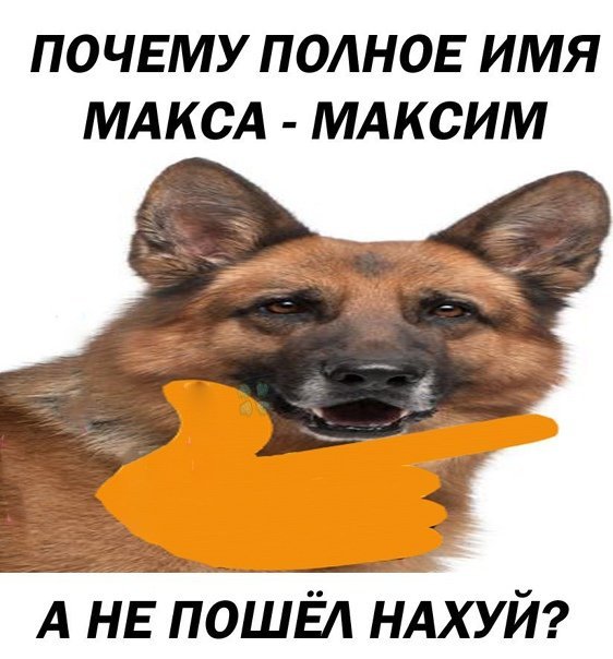Мем Максим иди на