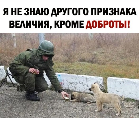 Военные с животными