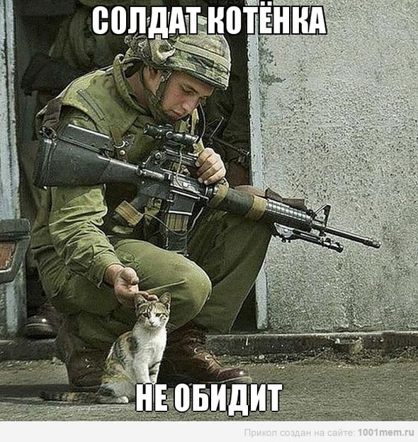 Русский военный с котом