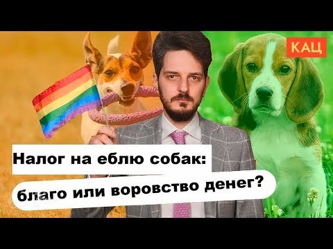Мемы про Каца и собак