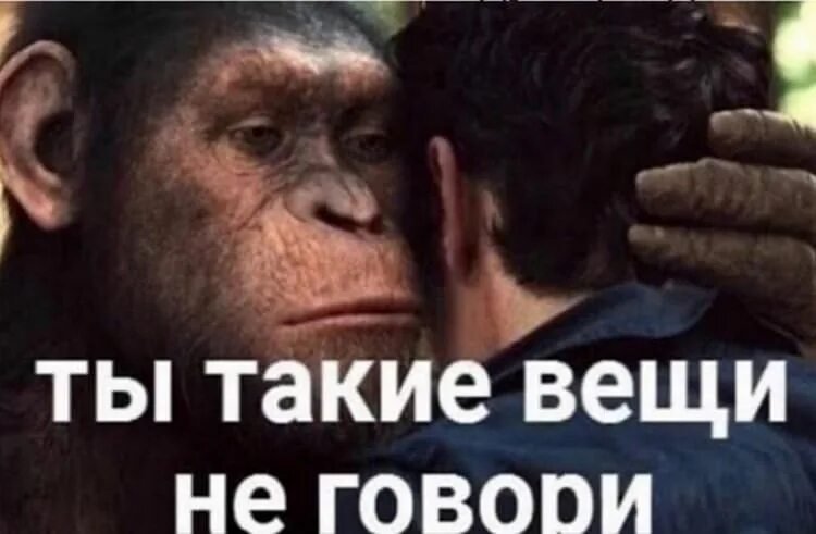 Ты такие вещи не публикуй Мем