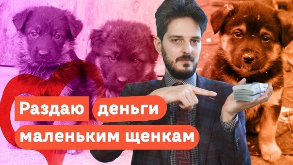 Кац собаки Мем