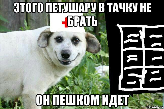 Пес Максим Мем