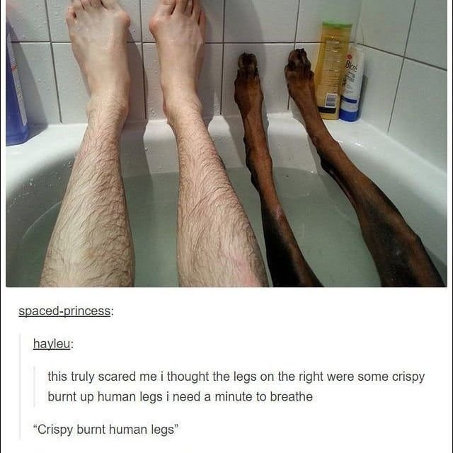 Мемы про ноги