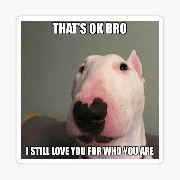 Собака с кривым лицом