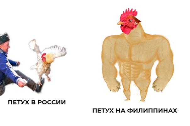 Человек петух