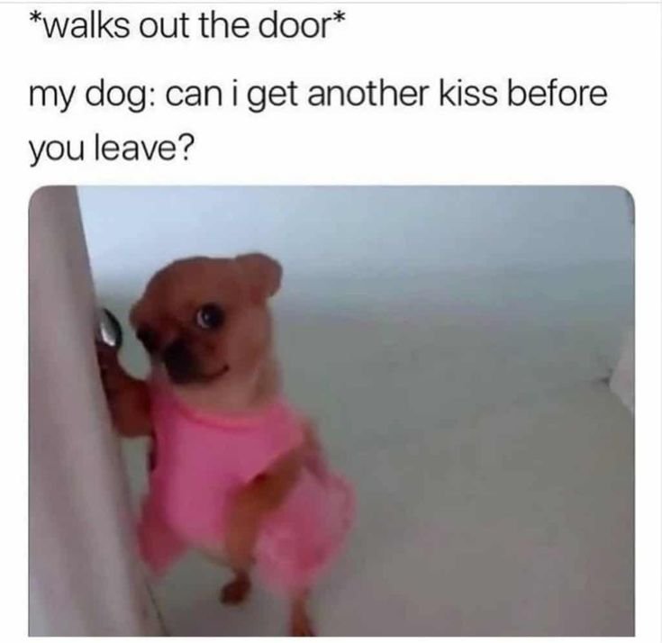 Розовая собака