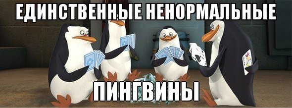 Пингвины плюнем и надежно склеим скотчем