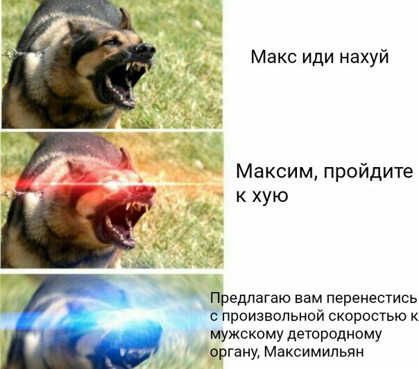 Максим Мем с овчаркой