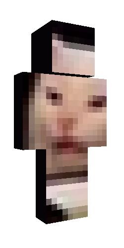 Скин в МАЙНКРАФТЕ Мем