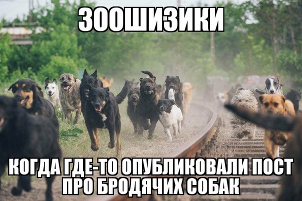 Ненавижу животных и зоозащитников