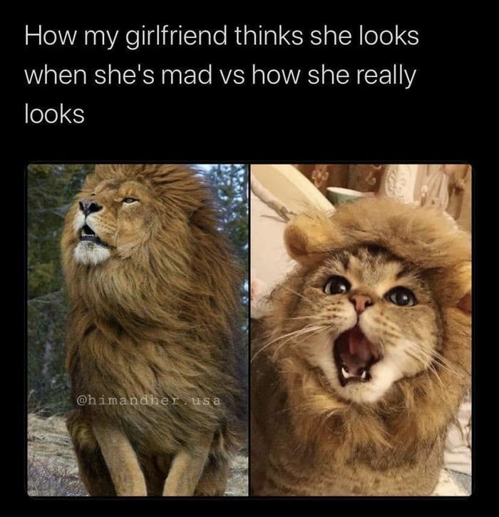 Мемы смешные до слез популярные