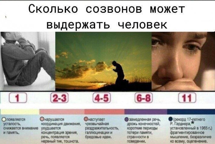 Сколько человек может жить без сна