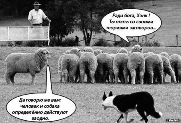 Теория заговора демотиваторы