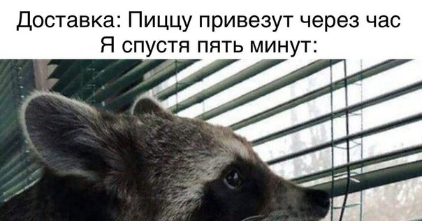 Мем когда ждешь курьера с едой