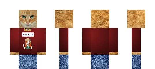 Скин рыжего кота