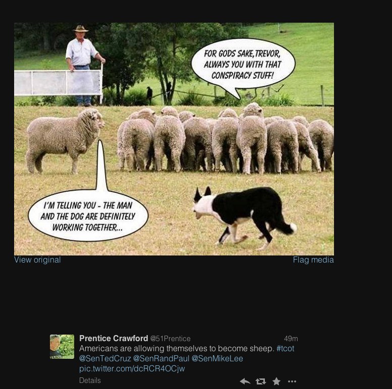 Овцы заговор