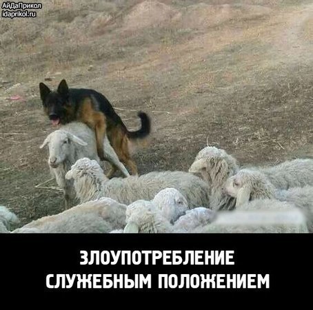 Превышение должностных полномочий прикол