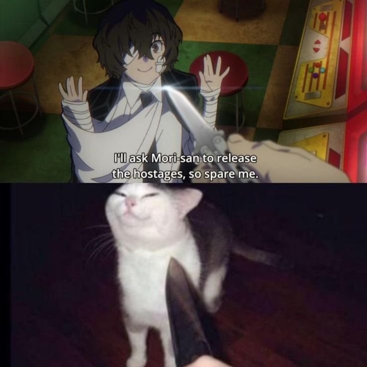 Аниме бродячие псы мемы