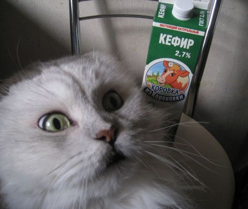 Смешной кефир