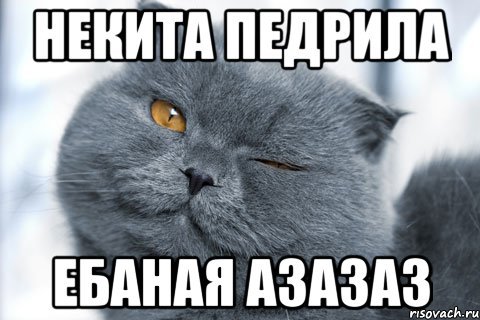 Адыхай котик