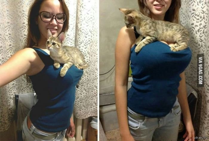 Адыхай котик