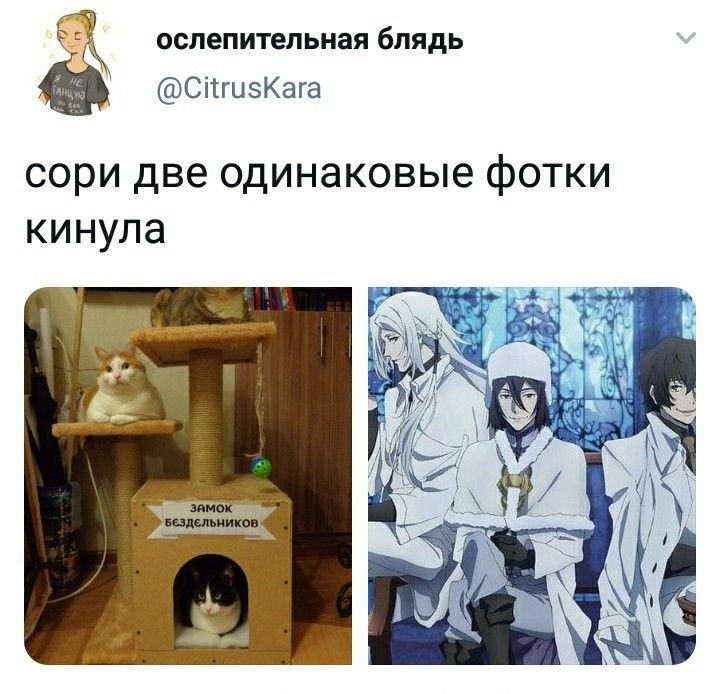 БСД мемы