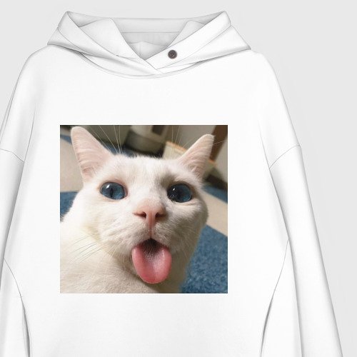 Кот в худи Мем