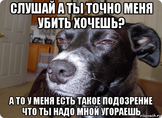 Меня хотят убить