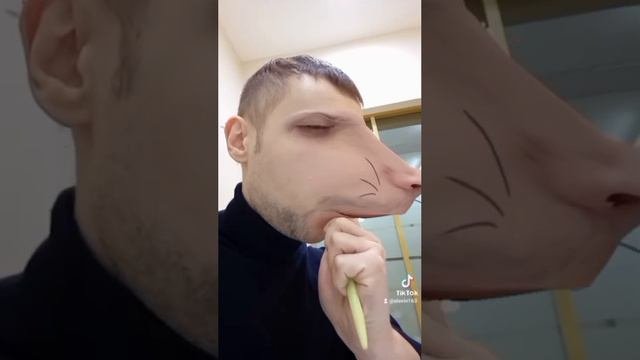 Крыса тик ток