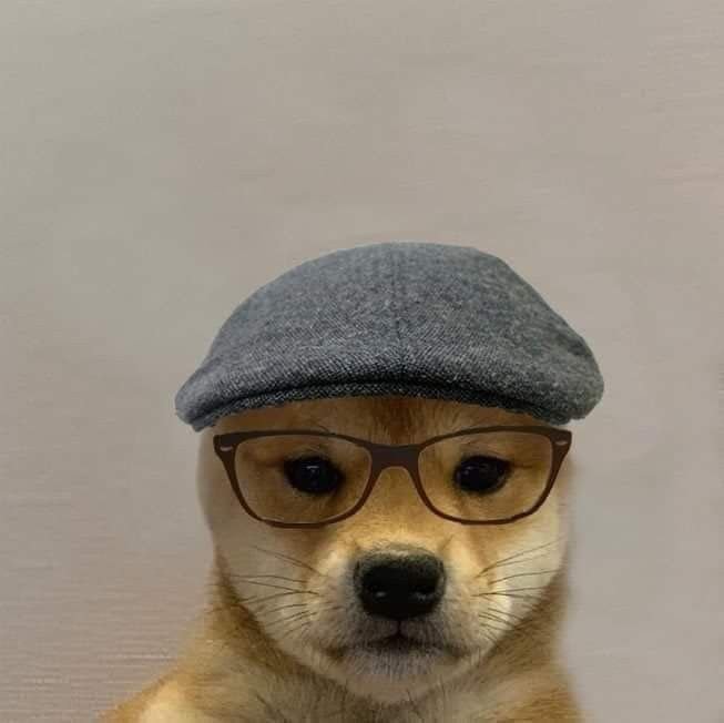 Доги в шапке