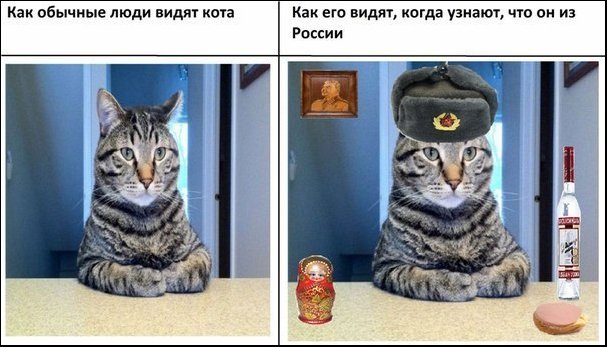 Мемы с котами из разных стран