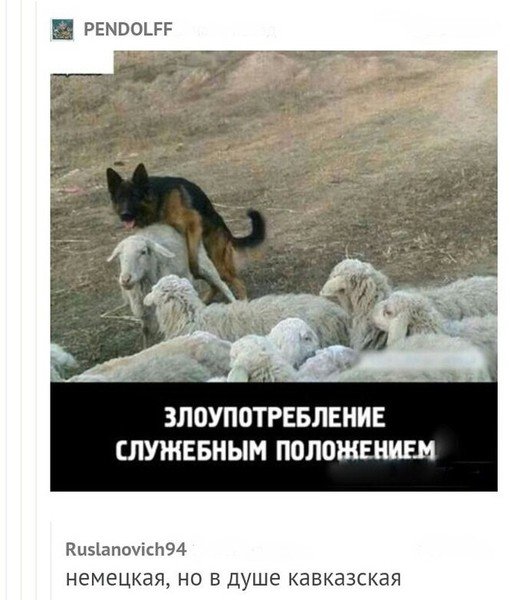 Злоупотребление служебным положением Мем