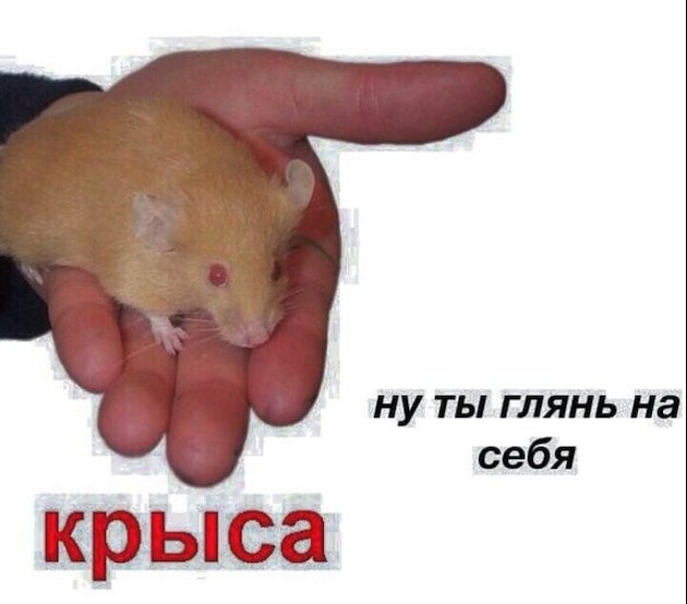 Из человека в крысу