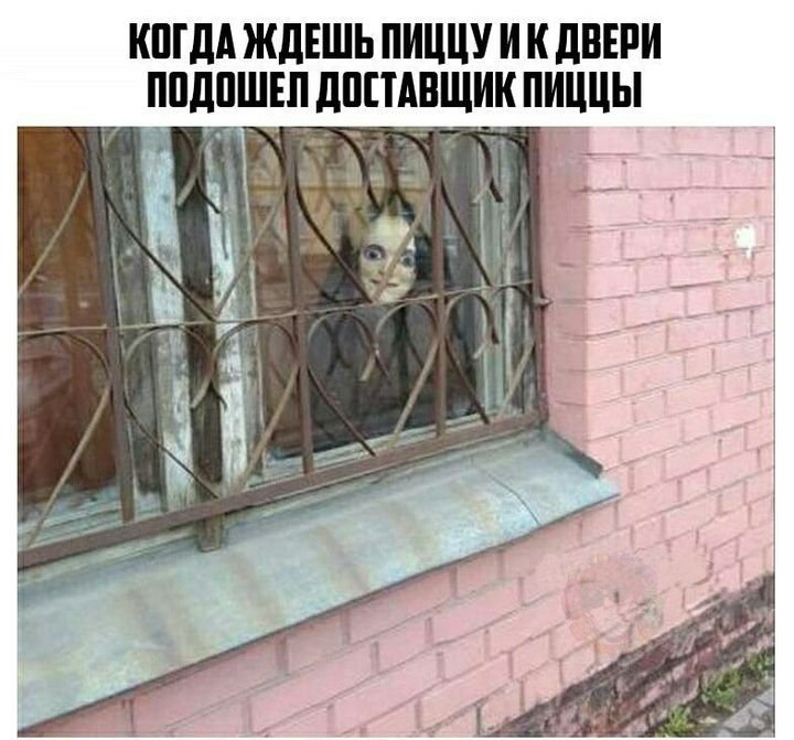 Когда заказал еду и ждешь