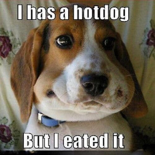 Смешной Бигль