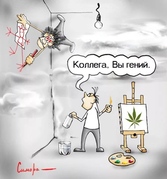 Приколы про осознанность