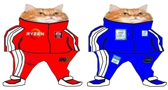 Котик в спортивках