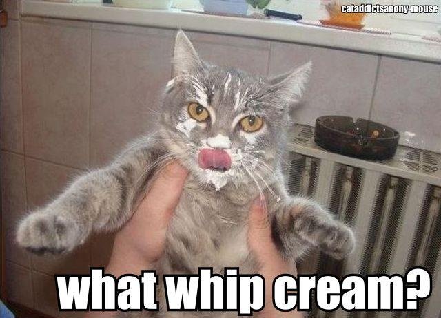 Кто съел сметану