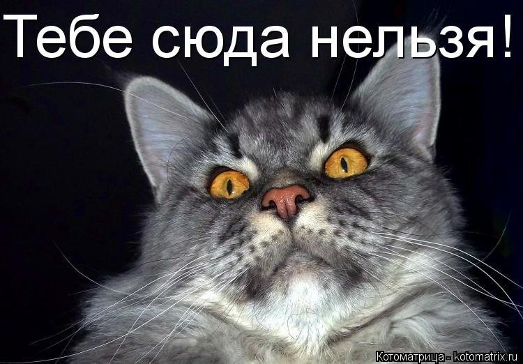 Фото на рабочий стол надпись хули смотришь